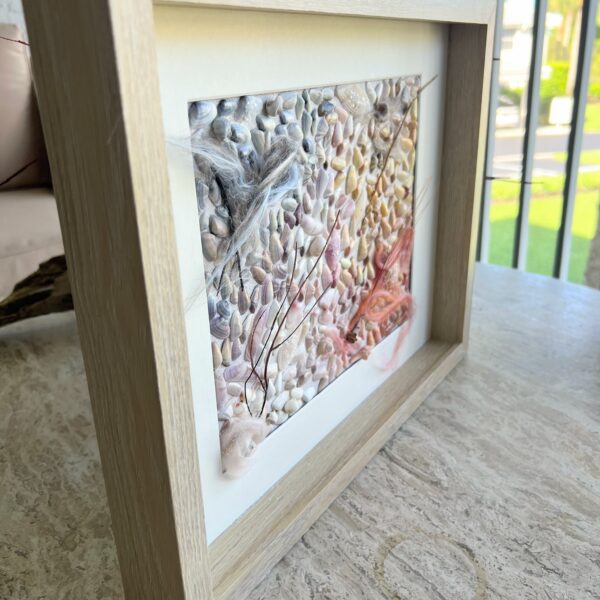 Coquina Shell Art