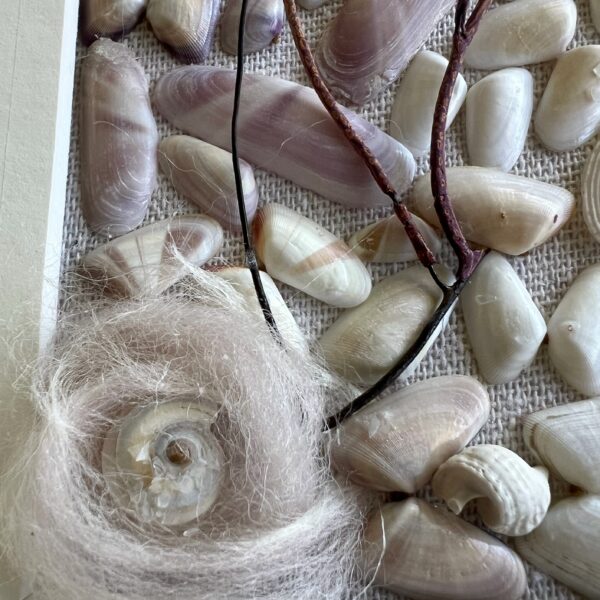 Coquina Shell Art