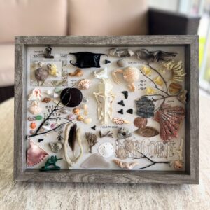 IMG_2369 Jesus Shell Box