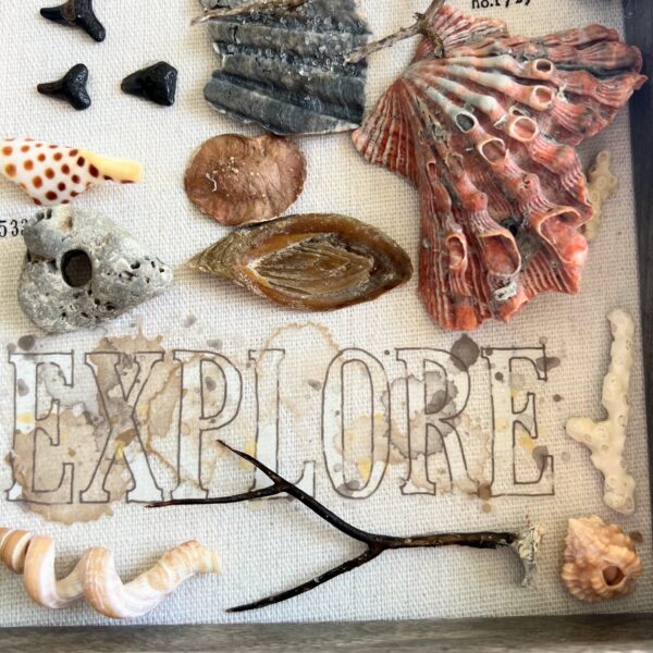 Jesus Shell Box
