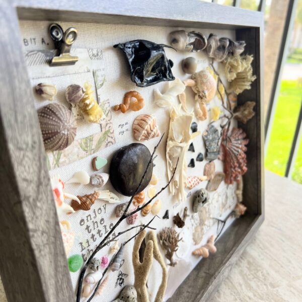 Jesus Shell Box